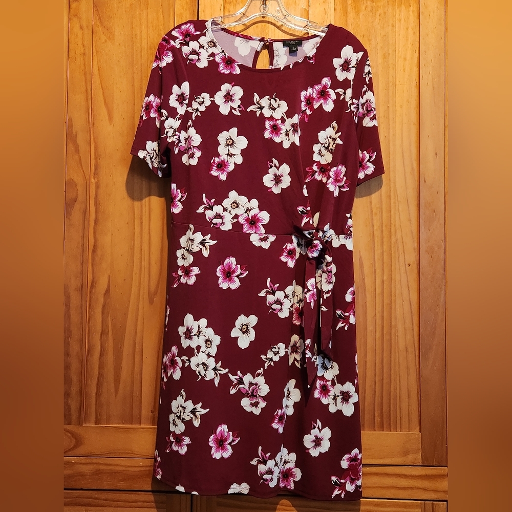 Ann Taylor Factory Maroon Floral Dress